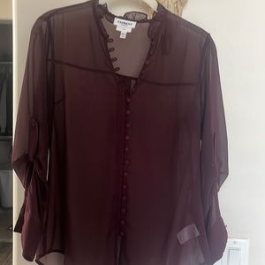 Sheer Express Blouse